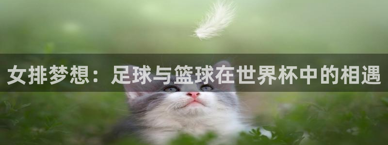 世界杯系列赛：女排梦想：足球与篮球在世界杯中的相遇