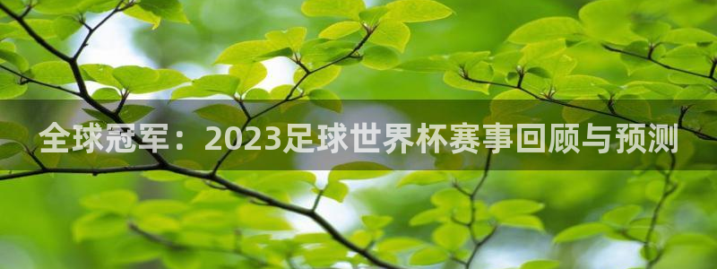 2026世界杯赛程：全球冠军：2023足球世界杯赛事回顾与预测
