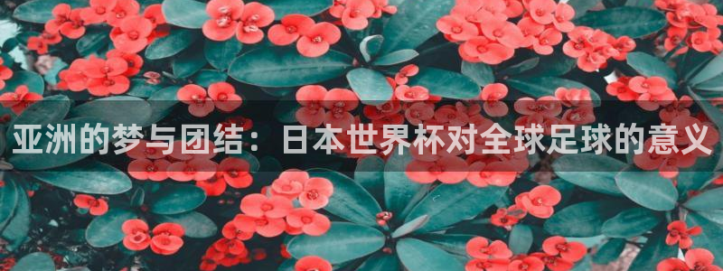 2026男足世界杯赛程：亚洲的梦与团结：日本世界杯对全球足球的意义