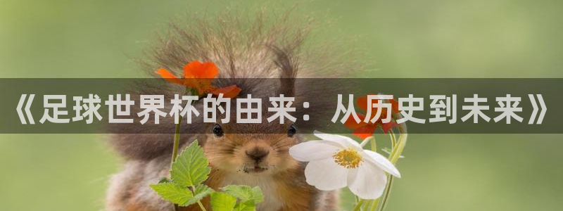 足球世界杯时间：《足球世界杯的由来：从历史到未来》