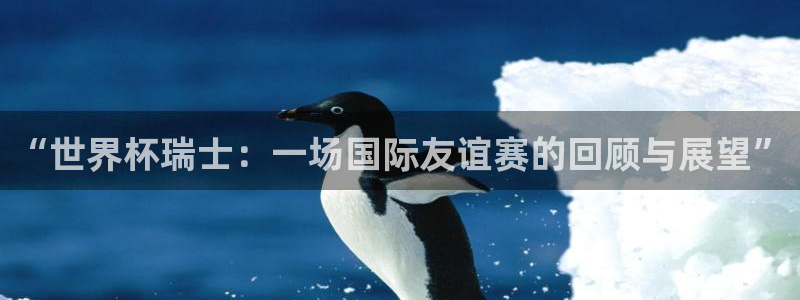 2026世界杯赛程时间表最新：“世界杯瑞士：一场国际友谊赛的回顾与展望”