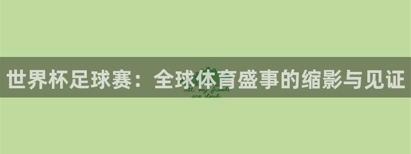 世界杯预选赛：世界杯足球赛：全球体育盛事的缩影与见证