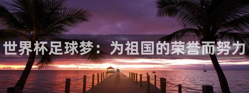 2026世界杯倒计时：世界杯足球梦：为祖国的荣誉而努力