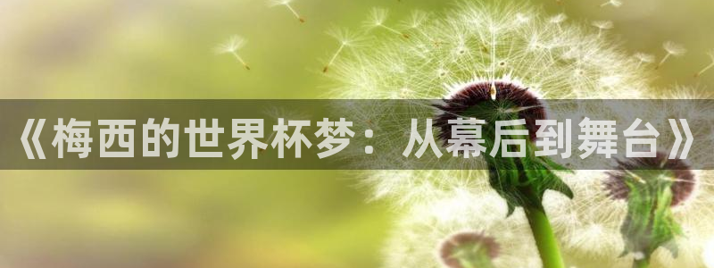 世界杯小组赛赛程：《梅西的世界杯梦：从幕后到舞台》