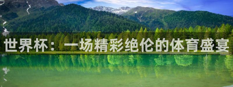 世界杯比赛：世界杯：一场精彩绝伦的体育盛宴