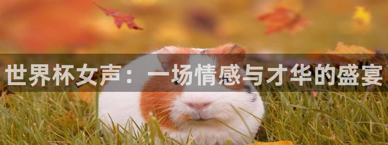 澳门世界杯直播：世界杯女声：一场情感与才华的盛宴