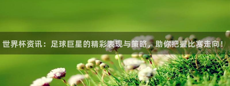 2026年男足世界杯：世界杯资讯：足球巨星的精彩表现与策略，助你把握比赛走向！