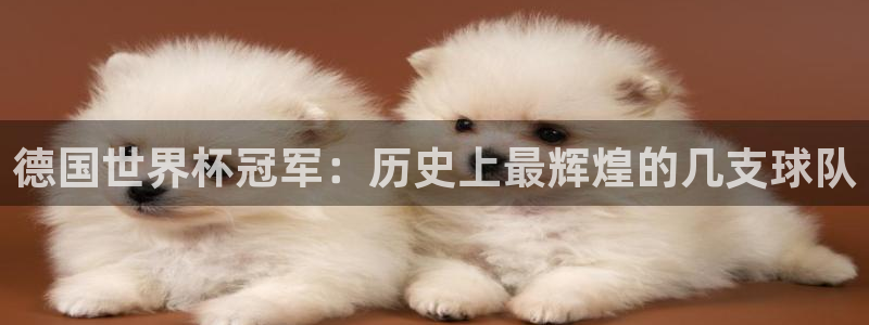 女足世界杯直播：德国世界杯冠军：历史上最辉煌的几支球队