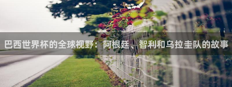 世界杯足球赛2026：巴西世界杯的全球视野：阿根廷、智利和乌拉圭队的故事