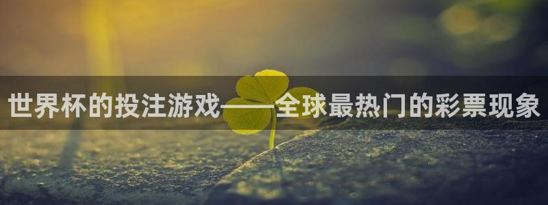 世界杯预选赛直播：世界杯的投注游戏——全球最热门的彩票现象