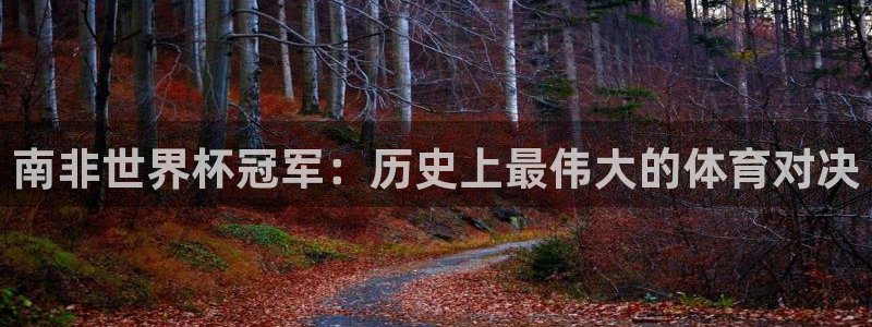 世预赛直播：南非世界杯冠军：历史上最伟大的体育对决