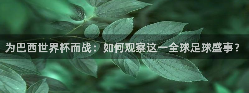 西超杯直播：为巴西世界杯而战：如何观察这一全球足球盛事？