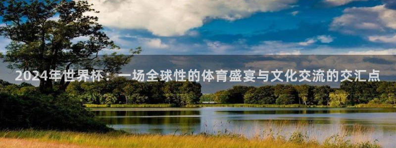 2026年世界杯对阵图：2024年世界杯：一场全球性的体育盛宴与文化交流的交汇点