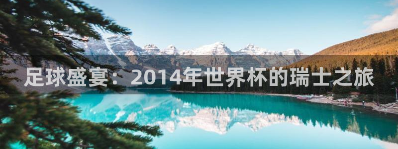 世界杯预选赛赛程时间表：足球盛宴：2014年世界杯的瑞士之旅